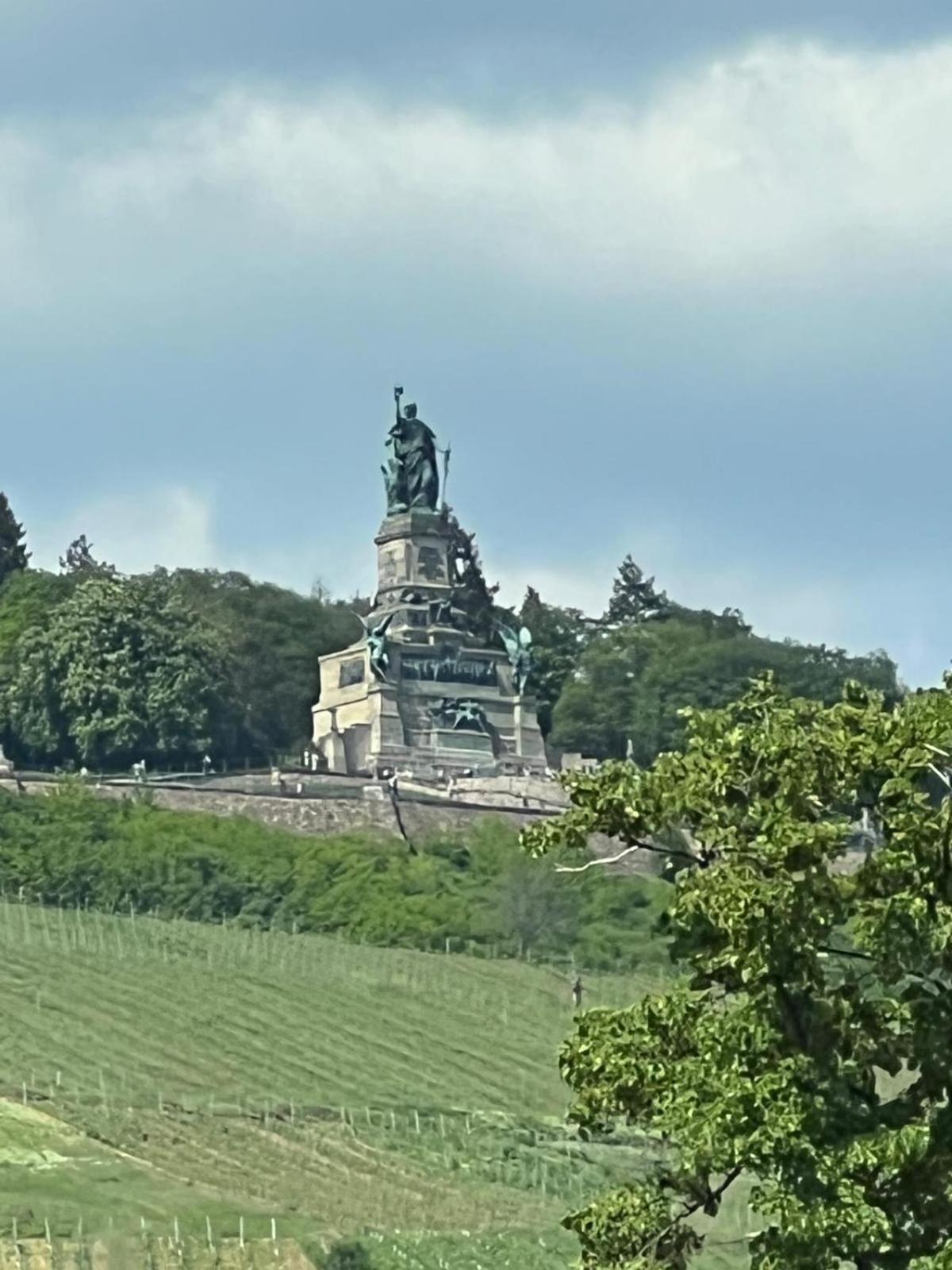 Design Am Rhein - Traumlage Rheinufer I Kueche I Oeffentl Parkplaetze Leilighet Bingen am Rhein Eksteriør bilde